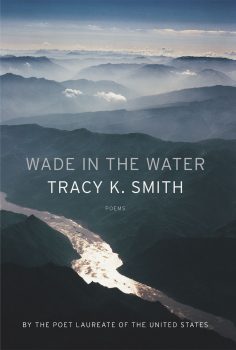 Cover of Wade in the Water