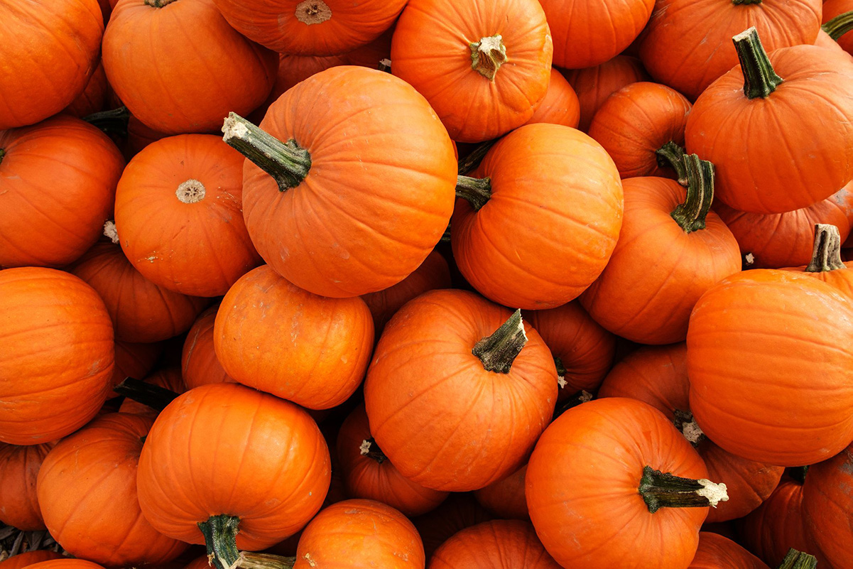 Pumpkins